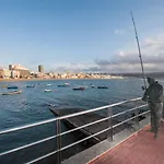 كولون بلايا لاس بالماس دي غران كاناريا